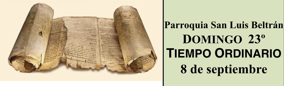 https://arquimedia.s3.amazonaws.com/280/evangelio-dominical/banner-comentarios-885jpg.jpg