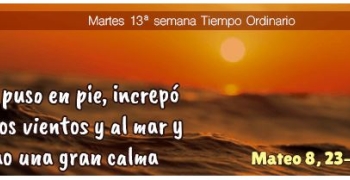 IMAGEN